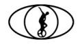 CircusSeen - Adult Circus Arts Classes